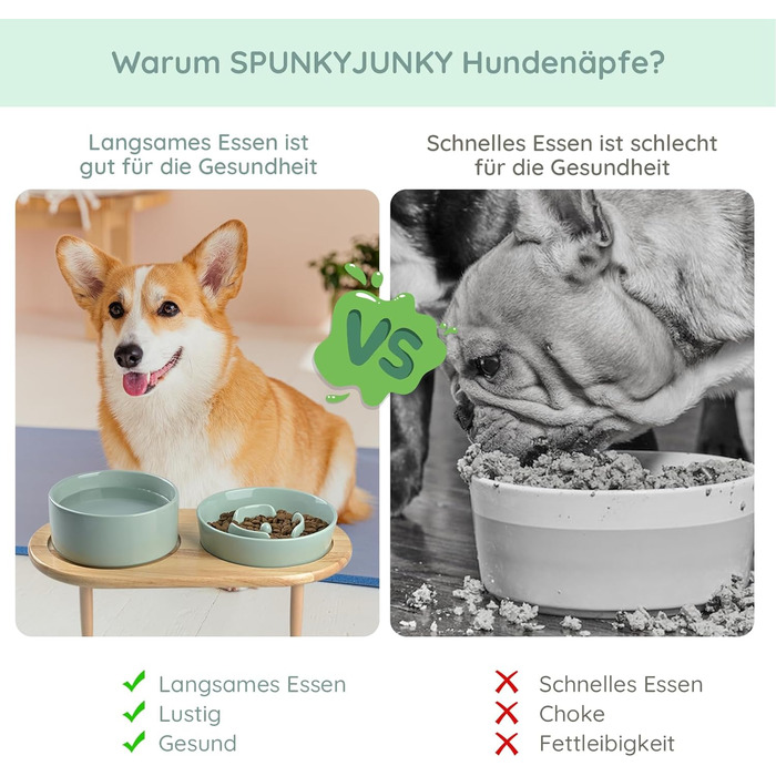Керамічний набір чаш проти стропа SPUNKYJUNKY (світло-зелений)