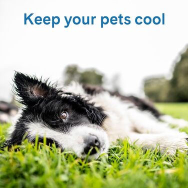 Охолоджуючий килимок для собак TheGreenPetShop, самоостигаючий гель