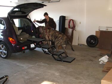 Сходи для собак Pet Loader XL, 5 ступенів, пластик, 45,7 см