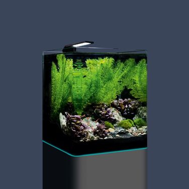 Dennerle Nano Cube Complete 20 л – Міні-акваріум комплект для акваріумних рибок та рослин