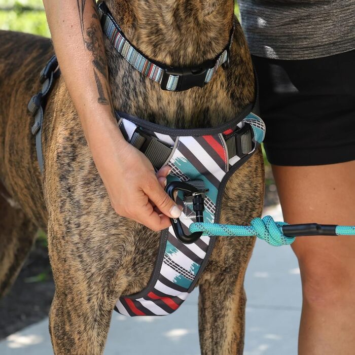 Embark Urban шлея для собак, легко надягати, з кріпленнями для повідка спереду та ззаду, з ручкою для контролю, регульована, не душить, для дресирування