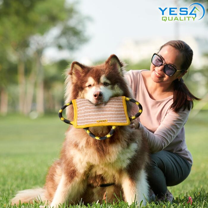 Кусальна подушка для собак Yes4Quality 25x18 см з 3 нейлоновими ручками, іграшка для дресирування, спорту та інтерактивних ігор