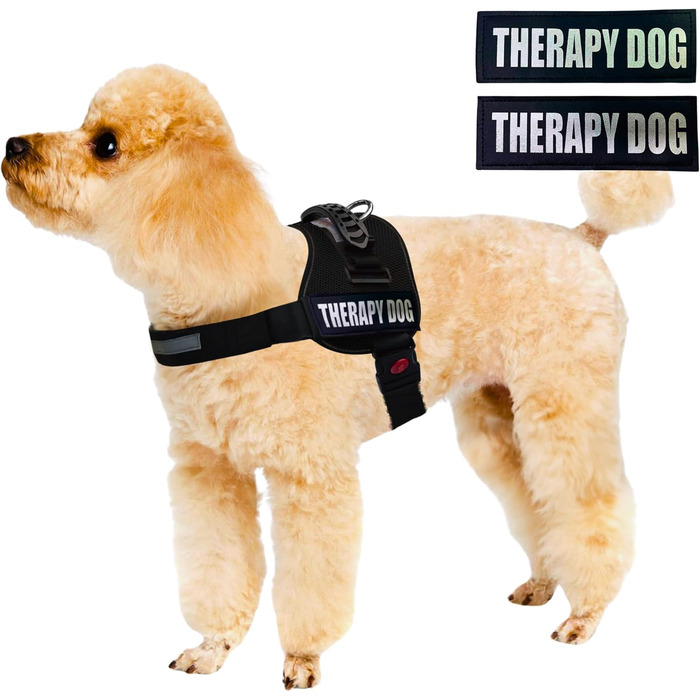 Шлейка для собак Albcorp Reflective Therapy, червона, М