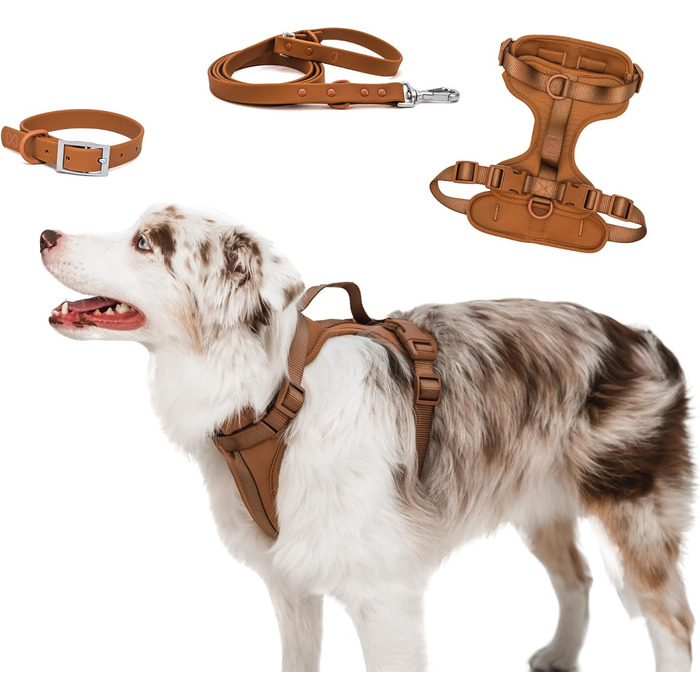 Шлейка для собак Easy Walk BearBone, що запобігає витягуванню, зелена