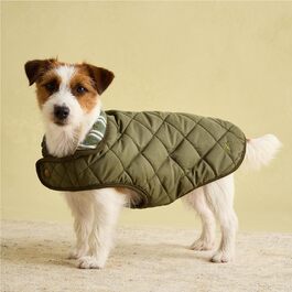 Стьобане пальто Rosewood x Joules Khaki для великих собак