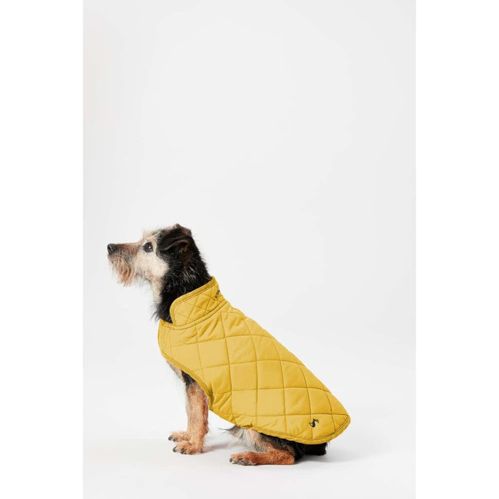 Зимове пальто Rosewood x Joules кольору хакі для великих собак