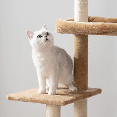 Котяче дерево з тумбою для лотка, 2-в-1, 150 см