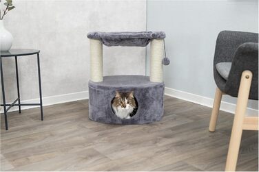 Котяче дерево з котячими стовпчиками, 61