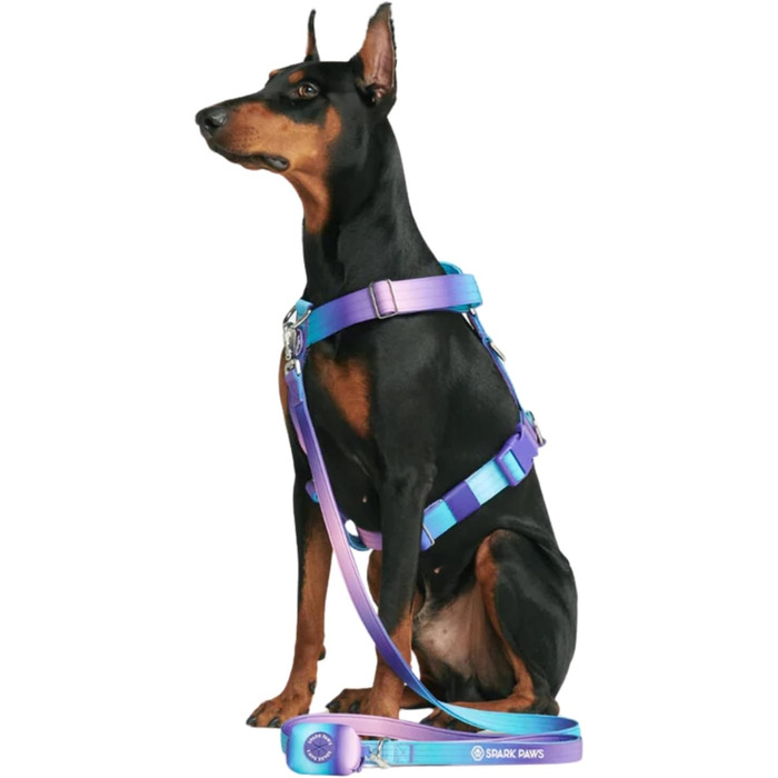 Велика шлейка для собак Spark Paws - ретро 90-х, L