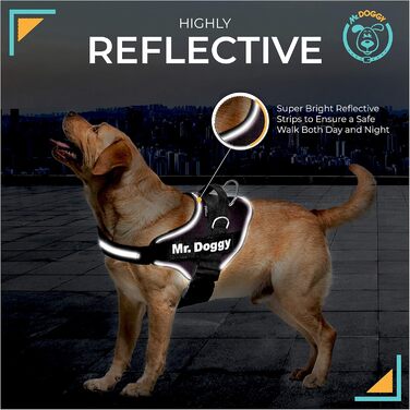 Шлея для собак MR. DOGGY, персоналізована, з іменем, розмір L (20-32 кг), шотландський стиль, відбиваюча, міцна, з 2 змінними етикетками
