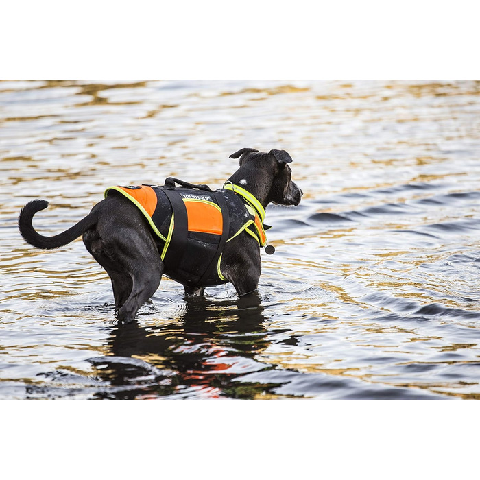 Жилет для собак Julius-K9 IDC 3in1, чорний/ультрафіолетовий помаранчевий (L)