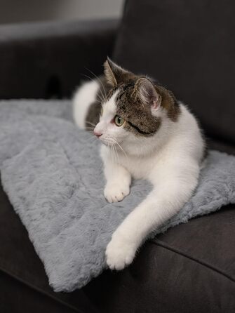 Двостороння ковдра TrendPet Heaven для собак і кішок, сіра