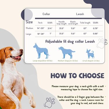 Комплект PawHuggies сірий нашийник і повідець для великих собак