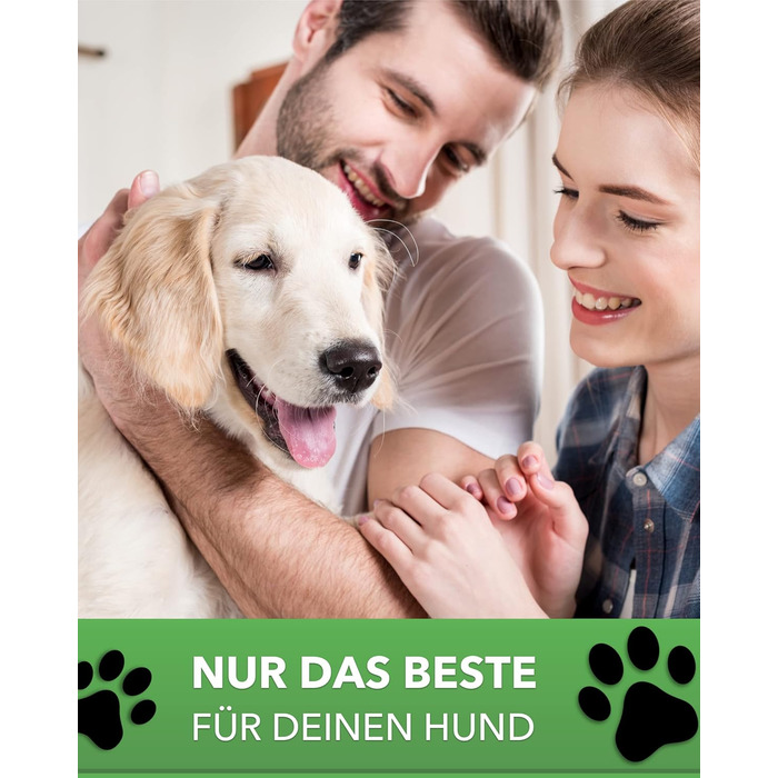 Лежанка для собаки DILUMA Benji - Ортопедична подушка, бежева