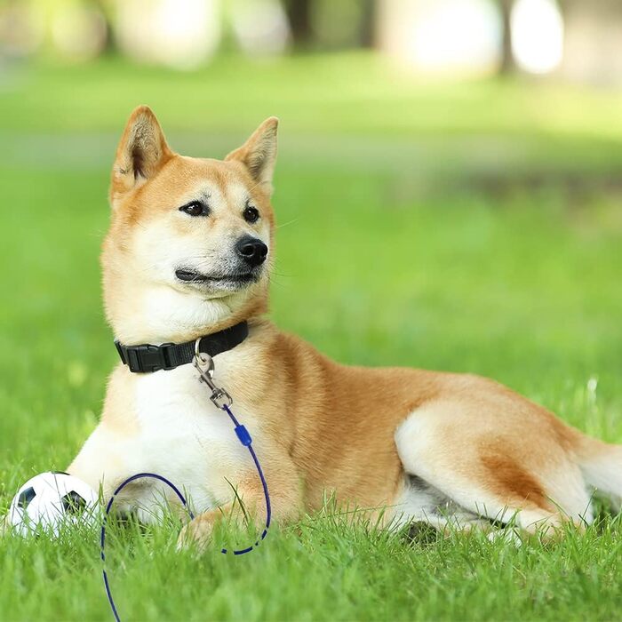 Повідок для собак Pet Pet, до 60 кг, 7,6 м, синій, 2 шт