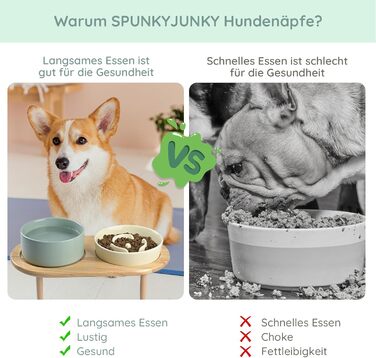 Керамічна миска для собак і котів SPUNKYJUNKY з бамбуковою підставкою, антипереїдання, набір, бежево-світло-зелена