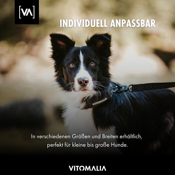 Тактичний нашийник для великих собак VITOMALIA, 5 см, міцний нейлон, магнітна ручка, безпечна застібка, чорний
