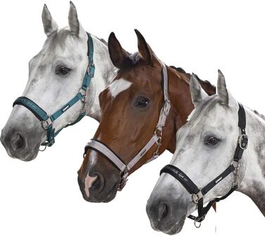 Кінська недоуздка Eskadron Double Pin, X-Warmblood, бірюзова/сіра/чорна