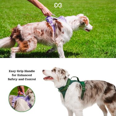 Шлейка для собак Easy Walk BearBone, що запобігає витягуванню, зелена