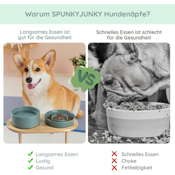 Набір керамічних мисок SPUNKYJUNKY з підставкою (темно-зелений)