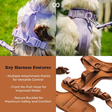 Шлейка для собак Easy Walk BearBone, що запобігає витягуванню, зелена