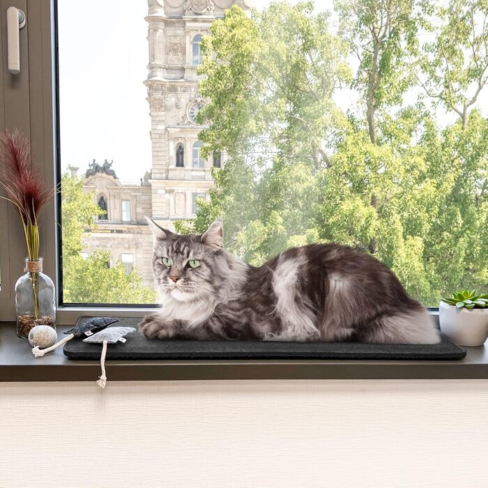 Шезлонг CanadianCat Шезлонг повстяний темно-сірий L 90x28 см