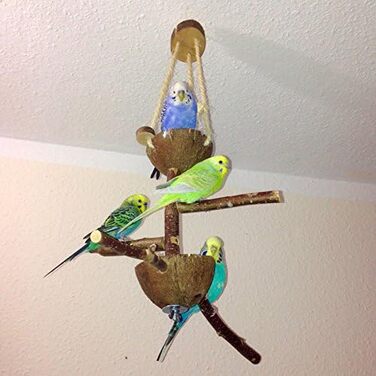 Ігровий майданчик Vogelgaleria Bird з натурального дерева, 2 чаші