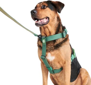 Шлейка для собак Spark Paws без тяги, передня кліпса, L - зелена
