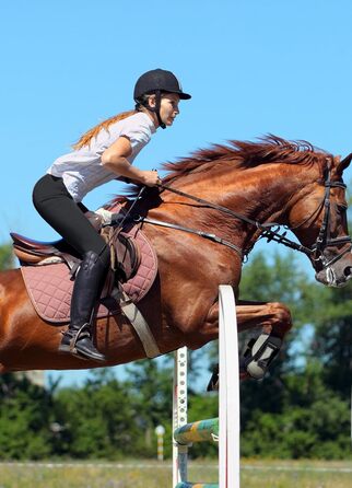 Жіночі легінси для верхової їзди baleaf з силіконовим покриттям, спортивні рейти, з кишенею на блискавці