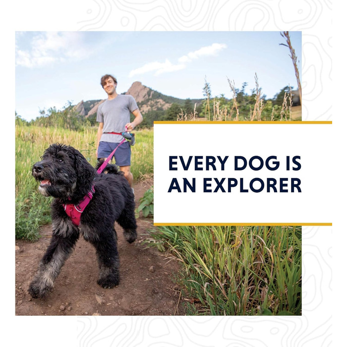 Нашийник для собак RUFFWEAR Crag, світловідбиваючий, 2836 см
