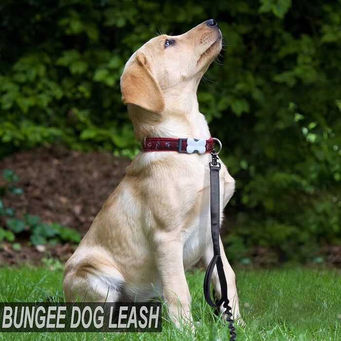 Повідець для собак JiePai Tactical Bungee, 1,8 м, 2 ручки