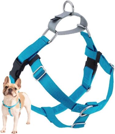 Шлейка для собак Hounds Design Freedom, бірюзова, 2