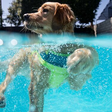 Рятувальний жилет для собак Outward Hound Standley Sport M