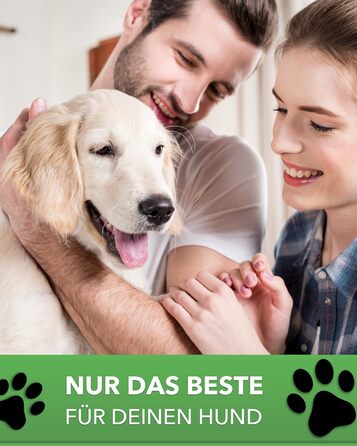 Лежанка для собаки DILUMA Benji - Ортопедична подушка, бежева