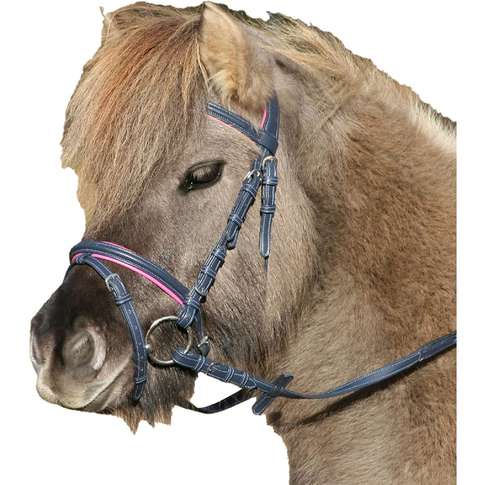 Трензельний вуздечка WALDHAUSEN Unicorn 2 для поні Shetty