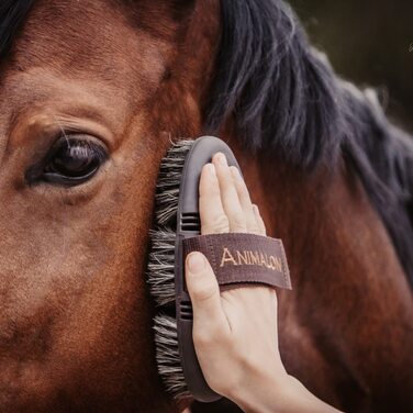 Щітка Animalon CareFlex для догляду за шерстю коня, натуральна, середньої жорсткості, з гнучкою основою і свинячою щетиною, зручний ремінець на липучці