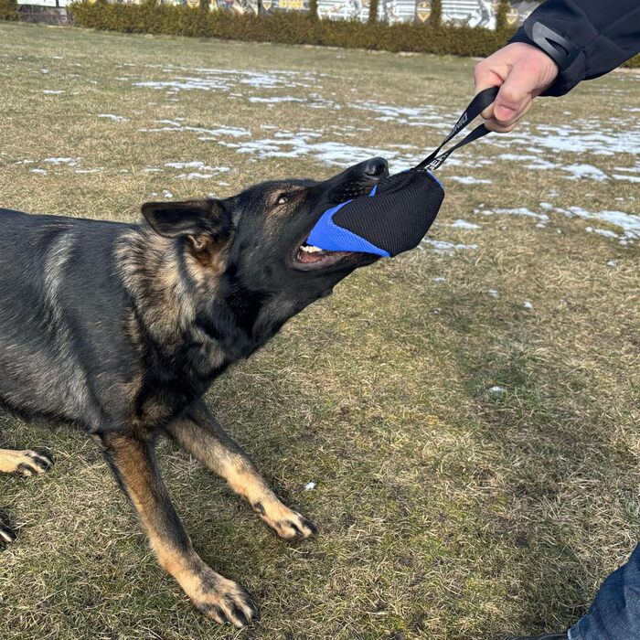Іграшка для собак Dingo Gear у формі кубика, 10x10 см, з ручкою, з нейлкоту, чорна/синя – для тренувань та ігор