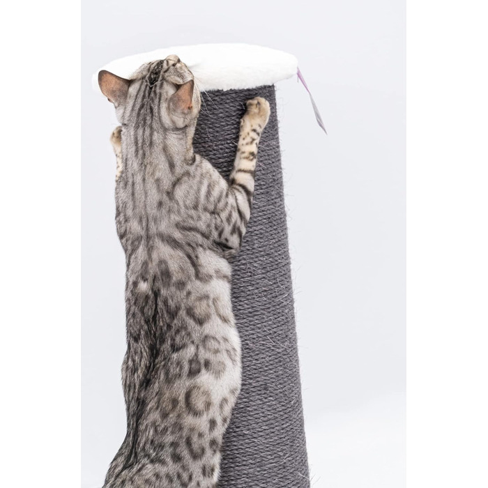 Стовбур для подряпин Petrebels XXL Savannah 86см брудно-білий