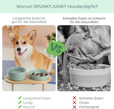 Керамічний набір чаш проти стропа SPUNKYJUNKY (світло-зелений)