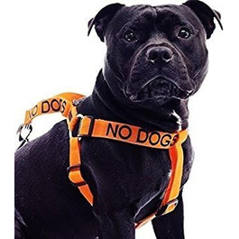 Шлея для собак 'KEINE HUNDE' L-XL, помаранчева, анти-тяга, попереджувальна, не для спілкування з іншими собаками