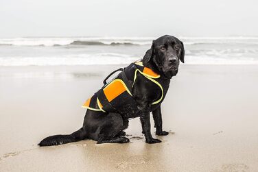 Жилет для собак Julius-K9 IDC 3in1, чорний/ультрафіолетовий помаранчевий (L)