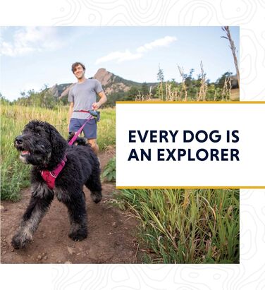 Нашийник для собак RUFFWEAR Crag, світловідбиваючий, 2836 см