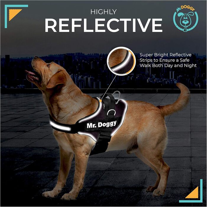 Шлея для собак MR. DOGGY, персоналізована, з іменем, розмір L (20-32 кг), шотландський стиль, відбиваюча, міцна, з 2 змінними етикетками
