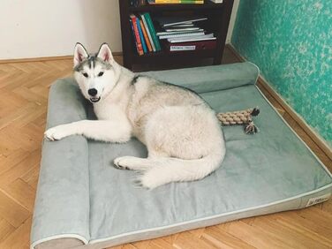 Лежак для собаки PetFusion Betterlounge, розмір L, піна з ефектом пам'яті