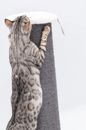 Стовбур для подряпин Petrebels XXL Savannah 86см брудно-білий