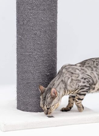 Стовбур для подряпин Petrebels XXL Savannah 86см брудно-білий