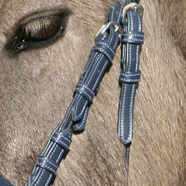 Трензельний вуздечка WALDHAUSEN Unicorn 2 для поні Shetty