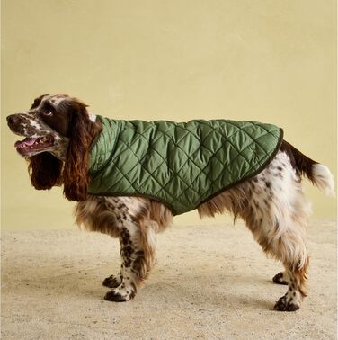Зимове стьобане пальто Rosewood x Joules Khaki для великих собак