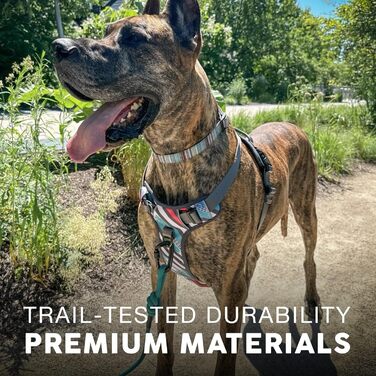 Embark Urban шлея для собак, легко надягати, з кріпленнями для повідка спереду та ззаду, з ручкою для контролю, регульована, не душить, для дресирування