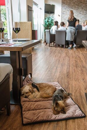 Туристичний килимок для собак і котів TrendPet Meine Restaurantdecke, 100x70 см
